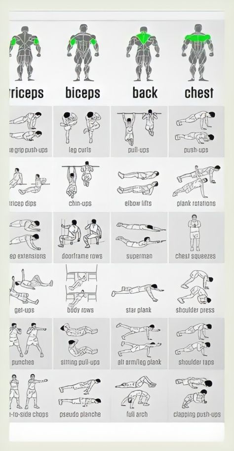 Exercise Chart, Latihan Dada, Trening Sztuk Walki, Gym Antrenmanları, Easy At Home Workouts, Gym Workout Chart, Abs Workout Gym, Trening Fitness, Calisthenics Workout