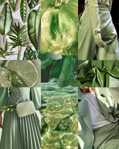 𝐒𝐘𝐋 on Instagram: “💚BUTTERFLY GREEN💚 #trend #trendy #trendforecasting #forecast #mood #moodboard #moodboardaesthetic #greenaesthetic #fashionstyle #2021…” Mood Boards Green, Green Mood Board, Green Moodboard, Mood Board Fashion Inspiration, Colour Mood, Soccer Backgrounds, Fashion Show Themes, Moodboard Inspiration, Social Design