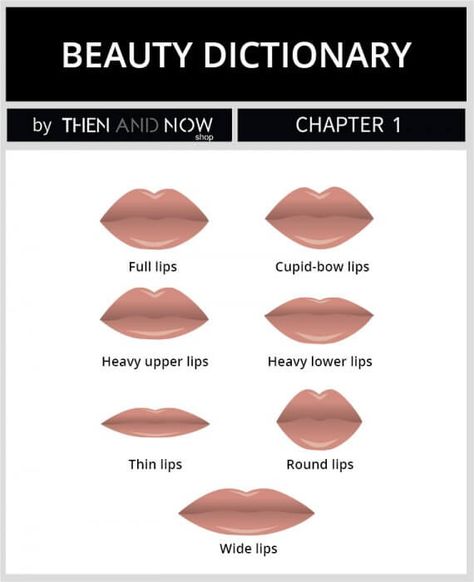 Types of Lip Shapes Types Of Lips Shape, Different Lip Shapes, Lip Filler Shape Ideas, Types Of Lips, Bow Lips, Cupids Bow Lips, Fashion Illustration Hair, Thick Lips, Shape Drawing