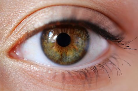 hazel eyes - Google Search Gold Hazel Eyes, Hazel Eyes With Gold Flecks, Green Gold Eyes, Aesthetic Hazel Eyes, Hazel Eyes Aesthetic, Hazelnut Eyes, Dark Hazel Eyes, Dark Green Eyes, Hazel Green Eyes