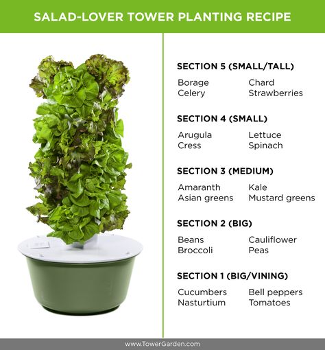 How to Grow Your Own Sensational Salads Juice Plus Tower Garden, Hydroponic Farming, Hydroponics Diy, Vertical Vegetable Garden, Vertical Herb Garden, Hydroponic Growing, Tower Garden, Juice Plus, Hydroponic Gardening