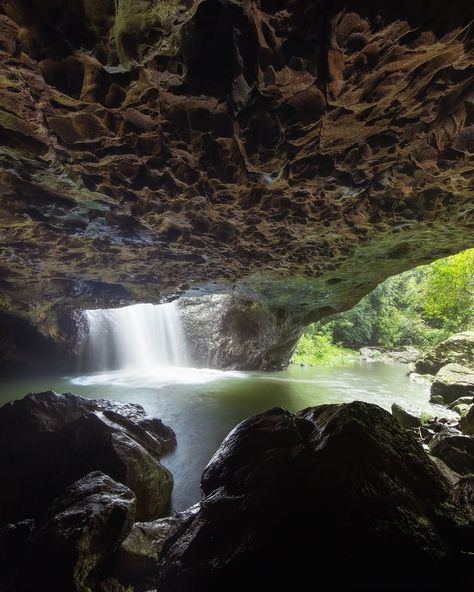 Benny Lamera on Instagram: “Visiting one of my favourite waterfall cave at Mount Tamborine with @project.paulie Natural Bridge flowing nicely after some constant rain…” Cave With Water, Waterfall Cave, Mount Tamborine, Cave Waterfall, Grotto Waterfall, Behind Waterfall Caves, Mini Waterfall, Baatara Gorge Waterfall, Beautiful Australia