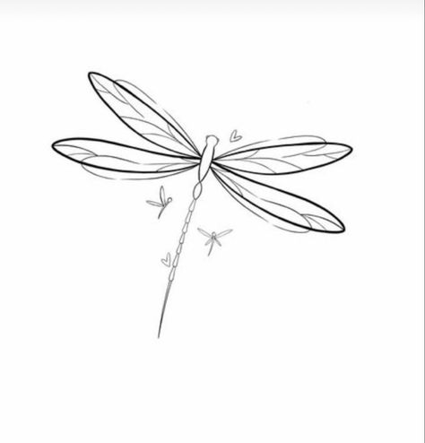 Dragon Fly And Flower Tattoo, Dragonfly Outline Tattoo, Dragon Fly Drawing, Dragonfly Outline, Fly Drawing, Dragonfly Tattoo, Dragon Fly, Little Dragon, Tattoos Ideas