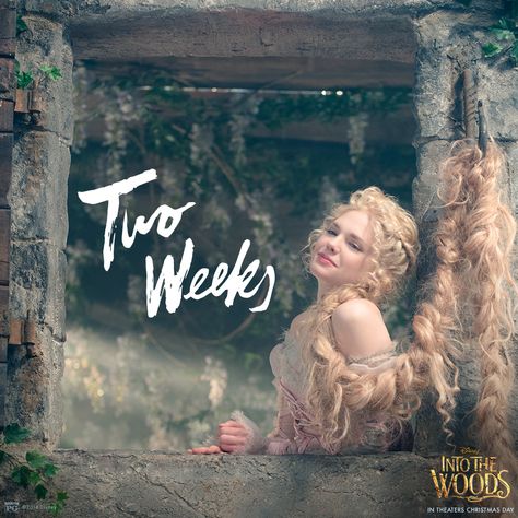 "High in her tower, she sits by the hour." Into The Woods - in theaters Christmas Day! Mackenzie Mauzy, Into The Woods Movie, Stephen Sondheim, Crazy Fans, Theatre Nerds, Theatre Poster, Disney Live Action, Beautiful Costumes, Newsies