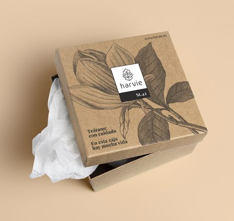 Luxury Box Packaging, Art Packaging, Organic Packaging, Brand Identity Package, Luxury Packaging Design, Cosmetic Packaging Design, Packaging Ideas Business, Small Business Packaging Ideas, Branding Design Packaging