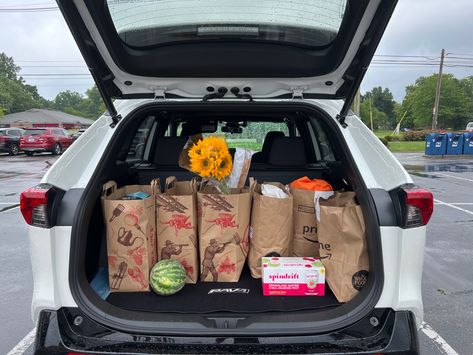 Picture of the back of a RAV4 SUV filled with Trader Joe’s shopping bags Suburban Mom Aesthetic, Suburban Aesthetic, Suburban Mom, Mom Aesthetic, Mom Car, Bug Repellent, Trader Joe’s, Trader Joe, Trader Joes