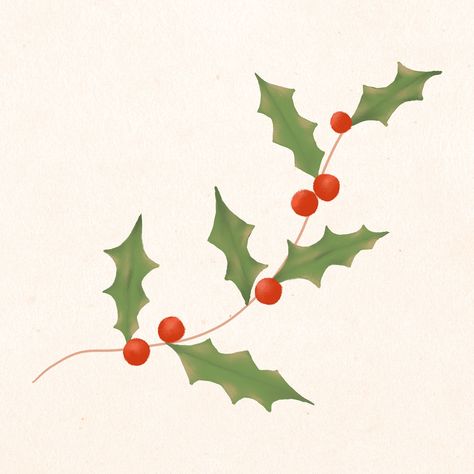 Holly Leaf Drawing, Holly Doodle Christmas, Holly Illustration Christmas, Christmas Holly Illustration, Holly Drawing Simple, Simple Christmas Illustration, Christmas Holly Drawing, Holly Doodle, Holly Drawing