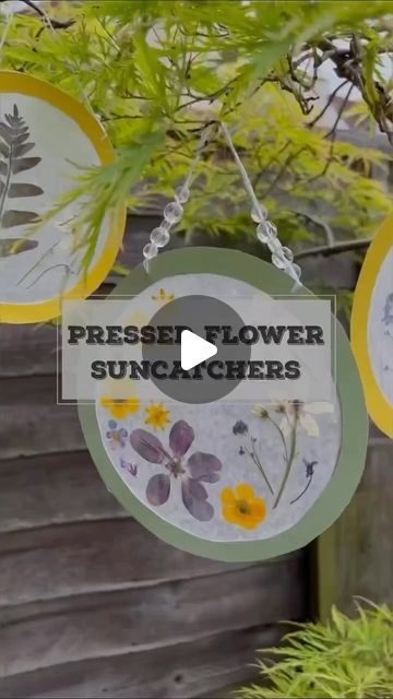 Make a suncatcher with pressed flowers and leaves ☀️🌸🌼🌿  This is a great activity to do at this time of year as there are so... | Instagram Make A Suncatcher, Flower Suncatcher, Pressed Leaves, Colourful Flowers, Flowers Blooming, March 27, Pressed Flower, Activities To Do, Spring Crafts