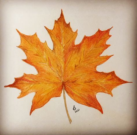 Drawing Ideas Colour Pencil Beginner, Autumn Sketches Pencil, Fall Leaves Drawing, Color Pencil Sketch, Fall Drawings, Shadow Drawing, Crayon Drawings, Intuitive Art, Leaf Drawing