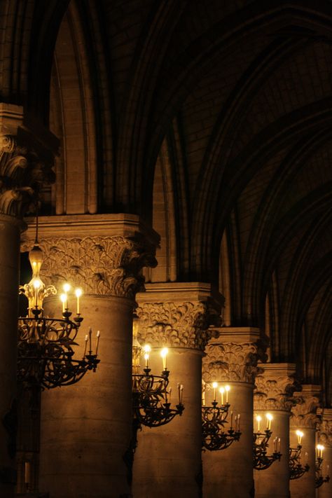 Notre-Dame A Night At The Opera, I Love Paris, Dark Academia Aesthetic, Gothic Architecture, City Lights, 그림 그리기, Dark Aesthetic, Beauty And The Beast, In The Dark