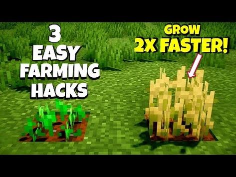 ☀️SPEED UP YOUR FARMING! BEST Farming Tricks for FASTER GROWTH | How to Farm FAST in Minecraft - YouTube Farm In Minecraft, How To Farm, Pocket Edition, Minecraft 1, Fast Growing, Windows 10, Speed Up, Java, Nintendo Switch