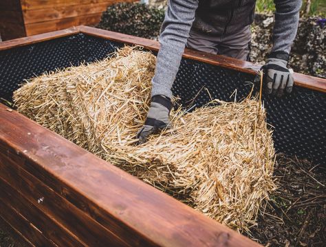 A raised garden bed is a great way to grow your crops, but you'll need to fill them up first. Here are cheap ways to fill raised garden beds. Garden Bed Soil, Raised Garden Bed Soil, Backyard Raised Garden, Cheap Raised Garden Beds, Messy Garden, Above Ground Garden, Keyhole Garden, Lasagna Gardening, Raised Bed Gardens