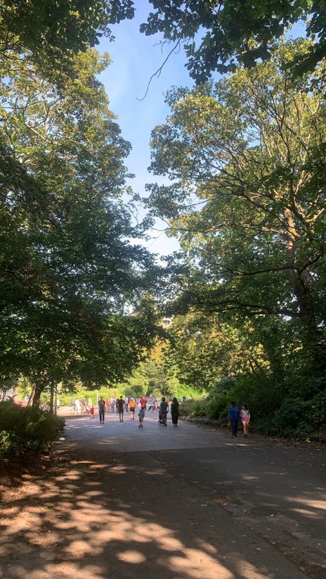 path in a park with trees Walk In Park, Walking In The Park, Park Walk, Birthday Plans, Outdoor Park, Birthday Planning, Long Shot, Walk In The Park, Long Walks