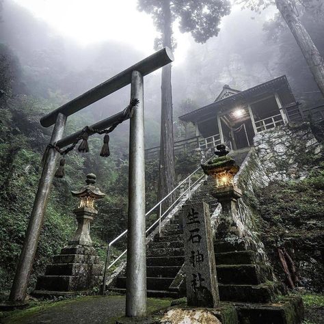 The mysterious beauty of Japan This mystical shrine is called Aritagawa-cho is known as the crude shrine. Lost in the mountains of Wakayama prefecture. It is 989 years old. Double Tap if you love this! ======================== FOLLOW@japanwithlove_official FOLLOW@japanwithlove_official FOLLOW@japanwithlove_official for more ======================== SHARE this in your stories to be featured! Credit: @yako_flpr3 Stay safe tag your friends and enjoy the content! ======================= Shrines Art, Japanese Shrine, Japan Architecture, Wakayama, Japanese Landscape, Tokyo Travel, Style Japonais, Japanese Architecture, Explore Travel