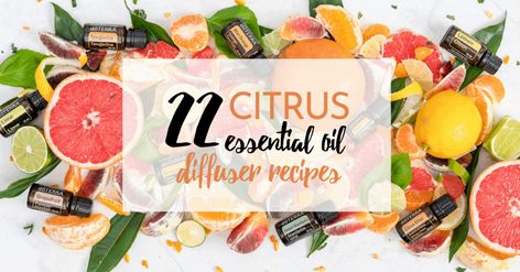 22 Citrus Essential Oil Diffuser Recipes • Lunch with Leah Air Freshener Essential Oils, Nutrition Consultant, Recipes Lunch, Aromatherapy Benefits, Essential Oil Diffuser Recipes, Oil Diffuser Recipes, Citrus Essential Oil, Diffuser Recipes, Citrus Oil