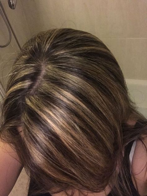 Dark Brown With Golden Highlights, Highlights Dirty Blonde, Highlights On Short Hair, Streaky Highlights, Skunk Highlights, Highlights Brown Hair Short, Skunk Hair, Brown Hair Inspo, Hair Color Streaks