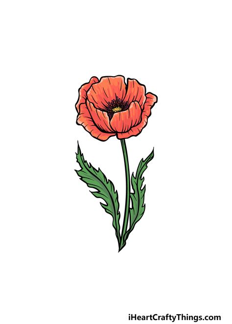 How to Draw A Poppy – A Step by Step Guide Draw Poppy Flower, Rain Cloud Tattoos, Poppy Flower Drawing, Poppy Images, Easy Flower Drawings, Cool Drawing, Poppy Drawing, Cloud Tattoo, Book Drawing