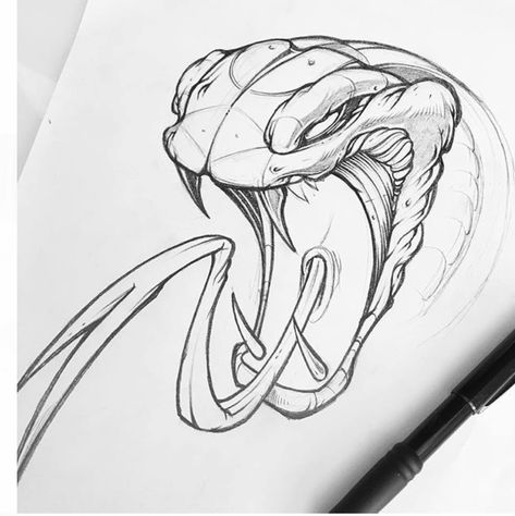 Snake Drawing, Kunst Tattoos, Graffiti Tattoo, Snake Art, A Snake, Arte Animal, Art And Illustration, A Pencil, Pencil Illustration