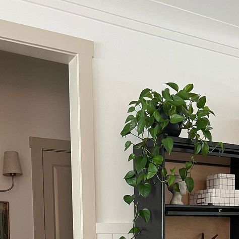 Samantha Farmer on Instagram: "I often get asked about this painted trim and where exactly it stops in my house, or if all of our trim is beige. Well hopefully this still image helps answer that question! This is a small hallway off of our main living area and all the trim and doors inside this hallway are all accessible beige by SW. On the opposite side of our main living area is our mudroom area also with beige painted trim. But that’s it! The rest of our trim in our home is Pure White by Beige Window Trim, Trim And Doors, Farmhouse Trim, Painted Trim, Beige Trim, Accessible Beige, Small Hallway, Small Hallways, Window Trim