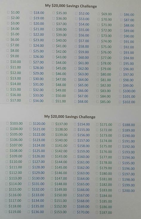 20,000 Savings Challenge 20k Savings Plan, 20k Challenge, Saving Plans, Money Challenges, Adulting 101, Saving Plan, Debt Freedom, Savings Challenges, Savings Strategy