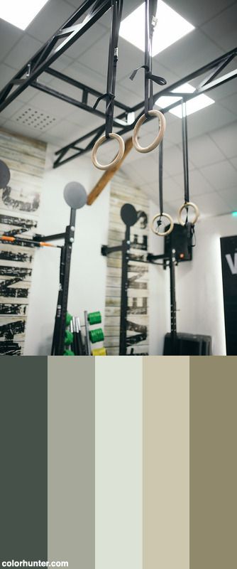 Gym Colour Scheme, Home Gym Color Ideas, Gym Colour Palette, Home Gym Color Scheme, Gym Color Palette, Gym Color Scheme, Gym Colors Ideas, Dojo Interior, Gym Interiors