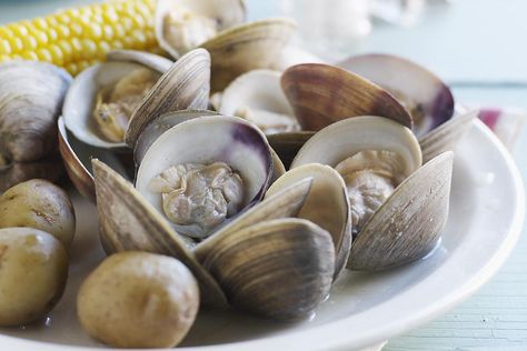 Fresh clams are one of life's best treats. Get tips for cooking them at home here: Steamed Clams Recipe, Vitamin B12 Foods, B12 Foods, Fresh Clams, Steamed Clams, Clam Bake, Clam Recipes, Steamer Recipes, Spring Recipes