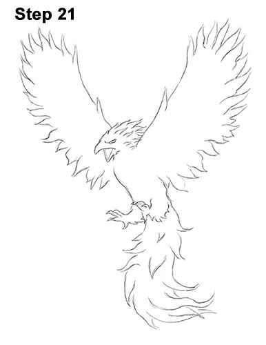 Phoenix Bird Drawing 21 Pheonix Drawing Easy, Phoenix Bird Drawing, Phoenix Bird Art, Phoenix Drawing, Bird Coloring, Drawing Instructions, Mythical Birds, Tattoo Outline Drawing, Bird Drawing