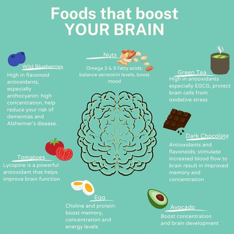 A picture of a brain surrounded by foods that will help boosts the health of it Foods Good For Brain, Healthy Food For Brain, Foods That Improve Brain Function, Best Brain Food For Studying, Brain Food For Studying, How To Be Smarter Brain Tips, Food For Your Brain, Study Food, Good Brain Food