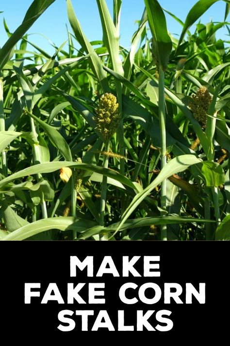 How to Make Fake Corn Stalks How To Make Corn Stalks Out Of Paper, Diy Corn Field Decoration, Diy Fake Hay Bales, Diy Corn Maze At Home, How To Make Corn Stalks, Corn Shocks Ideas, Diy Cornstalk Decorations, Fake Corn Stalks Diy, Corn Stalks Decorations Diy