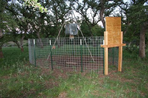 An article discussing an affordable homemade game feeder corral trap to save time, money, feed, and energy. This article explains why you should and how you can construct an affordable DIY trap using a deer feeder to trap wild pigs (feral hogs). Hog Trap, How To Make Traps, Deer Processing, Wild Hogs, Pig Hunting, Deer Feeders, Hunting Stands, Ranch Ideas, Hog Heaven