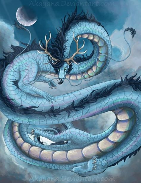 Blue Eastern Dragon, Ghost Dragon, Dragon Japanese, Eastern Dragon, Dragon Dreaming, Mythical Dragons, Dragon's Lair, Asian Dragon, Blue Anime