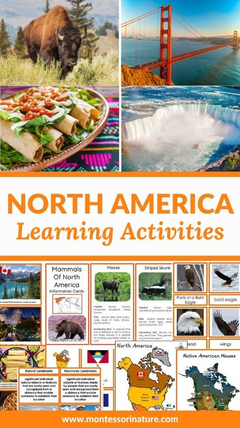 Exploring North America: Hands-On Learning Activities and Printables for Children - Montessori Nature Printables Montessori North America, South America Continent, Nature Printables, Science Printables, Animal Activities For Kids, Map Projects, World Geography, Animal Activities, Charlotte Mason