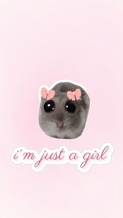 pink Im Just A Girl, I'm Just A Girl, Aesthetic Stickers, Girl Wallpaper, Just A Girl, Just Girl Things, A Girl, Iphone Wallpaper