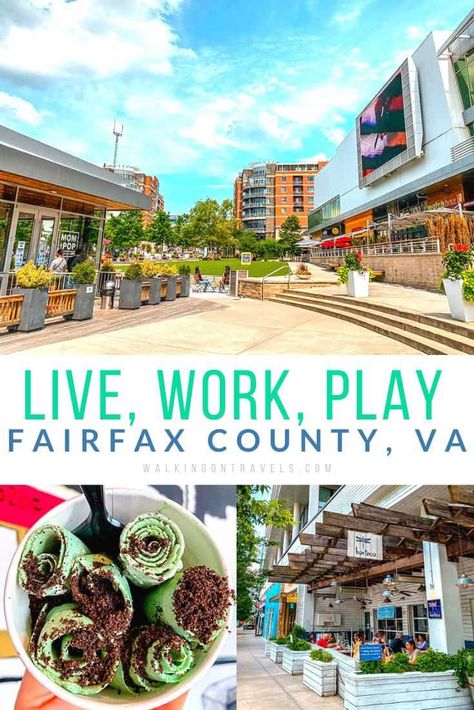 15 Magnificent Things to do in Fairfax County, VA Northern Virginia Things To Do, Mambo Sauce, Dc Living, Falls Church Virginia, Winter Family Vacations, Fairfax County Virginia, Ashburn Virginia, Fairfax Virginia, Virginia Vacation