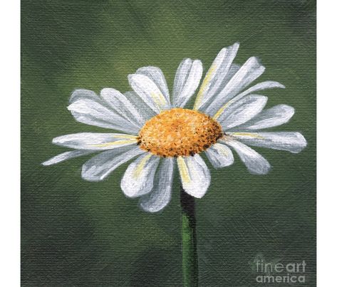 Canvas For Beginners, Daisy Painting, White Daisy, Canvas Painting, Daisy, Google Search, Paint, Wall Art, Canvas