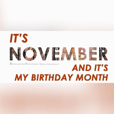 ZodiacThing.com on Instagram: “Well I love November! #scorpio #scorpio♏️ #scorpioseason #scorpiolife #scorpion #scorpioworld #scorpios #scorpiorules #scorpiolove…” My Birthday Month November, Birthday Month November, November Born Quotes, November Birthday Quotes, Born Quotes, November Scorpio, November Born, November Quotes, Scorpio Scorpio