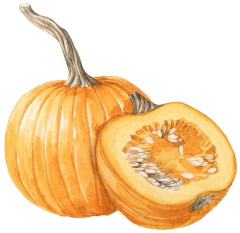 Food — Melinda Josie Melinda Josie, Pumpkin Drawing, Recipe Drawing, Pumpkin Illustration, Pumpkin Squash, Easy Hacks, Watercolor Food, Veggie Tray, Food Painting