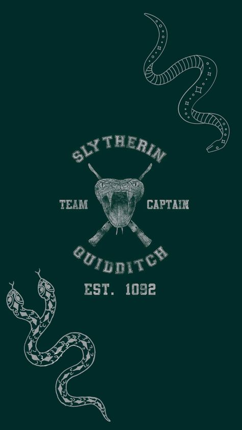 Wallpaper Iphone Slytherin, Draco Malfoy Quidditch Fanart, Slytherin Princess Wallpaper, Quidditch Aesthetic Slytherin, Harry Potter Wallpaper Phone Slytherin, Slytherin Pride Wallpaper, Harry Potter Phone, Slytherin Wallpaper, Draco Malfoy Fanart