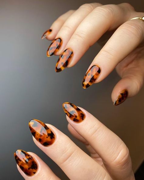 Tortoiseshell Nails, Shellac Nails Fall, Almond Acrylic, Kutek Disney, Brown Nails Design, Thanksgiving Nail Designs, Unghie Nail Art, Maroon Nails, Trending Colors