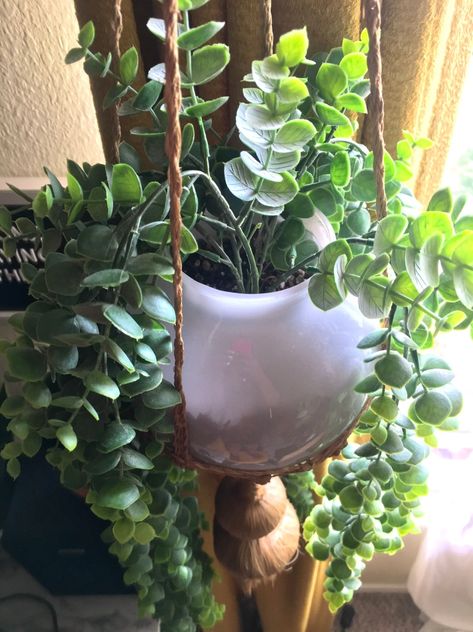 DIY: Globe Hanging Planter Globe Planter, Diy Globe, Hanging Globes, Glass Light Globes, Old Ceiling, Glass Light Covers, Old Globe, Hanging Planter, Real Plants