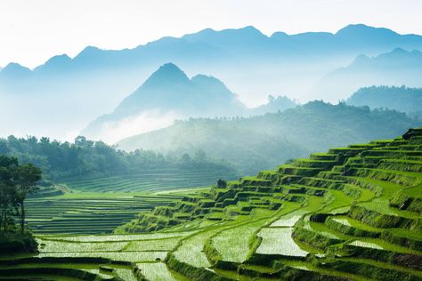 Cinematic Landscapes in Vietnam by Deniz Vural – Fubiz Media #LandscapeWallpaper Beautiful Vietnam, Vietnam Voyage, Scenery Background, Nature Posters, Vietnam Travel, Landscape Wallpaper, Nature Reserve, Mountain Landscape, Perfect Place