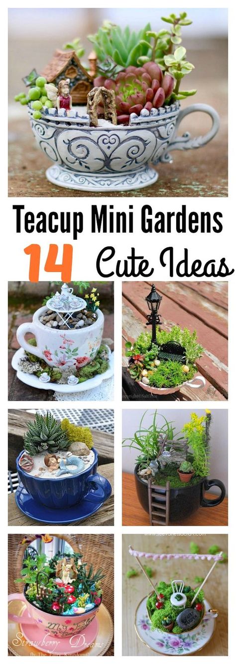 14 Cute Teacup Mini Gardens Ideas Teacup Ideas, Small Water Gardens, Fairy Terrarium, Dream Backyard Garden, Teacup Gardens, Teacup Crafts, Miniature Terrarium, Backyard Garden Layout, Mini Gardens