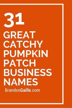 31 Great Catchy Pumpkin Patch Business Names How To Start A Pumpkin Patch Business, Fall Festival Names, Starting A Pumpkin Patch Business, Pumpkin Names, Pumpkin Patch Business, Real Estate Company Names, Festival Names, Pumpkin Patch Farm, Scarecrow Festival