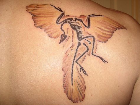 Archaeopteryx tattoo Archaeopteryx Tattoo, Fossil Tattoo, Feathered Dinosaurs, Dinosaur Tattoo, Dinosaur Tattoos, Funky Tattoos, Geek Tattoo, Modern Birds, Tattoo Inspo