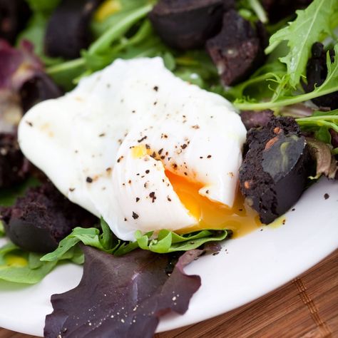 Black pudding with crisp and spicy arugula (Rocket, as the Brits would say) and poached eggs, is really delicious as either a starter or a shared plate. The mix of savory, salty and creamy is a modern way to serve our classic black pudding. Serves 2-3 Ingredients: 5 thick cut slices of Black Pudding 2 Eggs 8 oz Rocket/ Scottish Recipes, Black Pudding, Poached Egg, Arugula Salad, White Wine Vinegar, Egg Salad, Poached Eggs, Creamy Sauce, Arugula