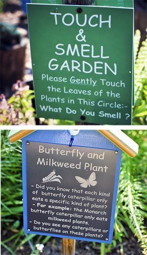 Garden center signs School Garden Club, Horticulture Therapy, Preschool Garden, Outdoor Learning Spaces, Sensory Garden, Children's Garden, School Playground, Natural Playground, Outdoor Classroom