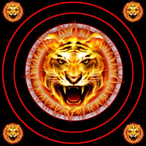 Tiger Dp, Lion Dp, Mood Oof Dp, Fighter Dp, Boys Pic Stylish Dp, Colorful Skull Art, Lion Live Wallpaper, Beard Art