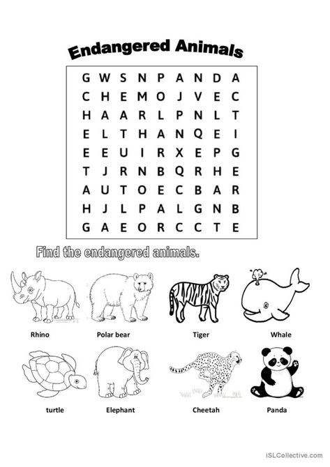 Endangered Animals Activities, Endangered Species Activities, Teaching Adjectives, Animal Worksheets, Animal Conservation, Africa Animals, Teacher Lessons, School Things, Animal Activities