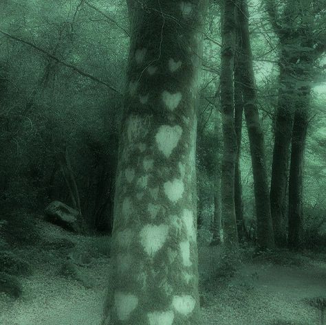 Indrid Cold, Fairy Grunge Aesthetic, Dark Naturalism, Dark Forest Aesthetic, Crystal Castles, Dark Fairycore, Grunge Pictures, Fairycore Aesthetic, Dark Green Aesthetic