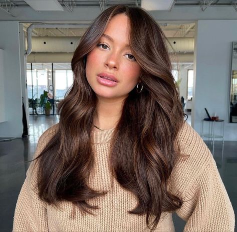 Chocolate Brown Hair Color With Highlights Caramel, Rich Chocolate Brown Hair With Dimension, Dimension Balayage, Ideas Pelo, Pelo Chocolate, Rich Brown Hair, Warm Brown Hair, Rambut Brunette, Dag Make Up